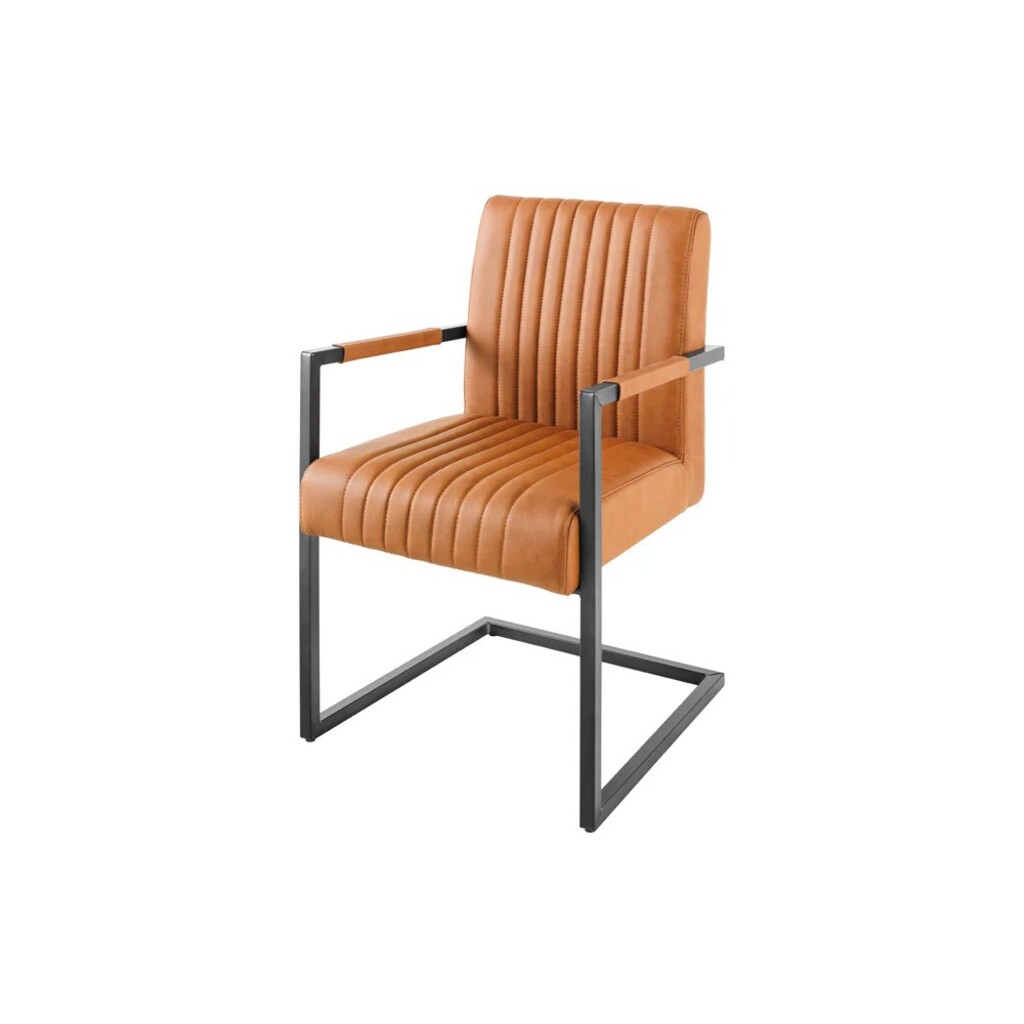 Freischwinger Stuhl Big Aston, Leder, Federkern Bild 10